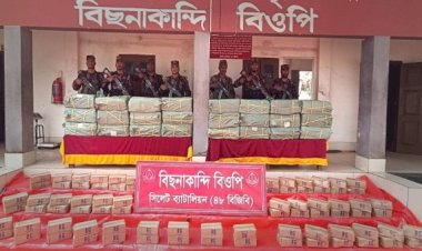 সিলেট ও সুনামগঞ্জ সীমান্ত থেকে প্রায় সাড়ে ৫ কোটি টাকার চোরাই পণ্য জব্দ