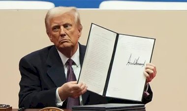 ধাক্কা খেলেন ট্রাম্প, জন্মসূত্রে নাগরিকত্ব বাতিলের নির্দেশে আদালতের স্থগিতাদেশ