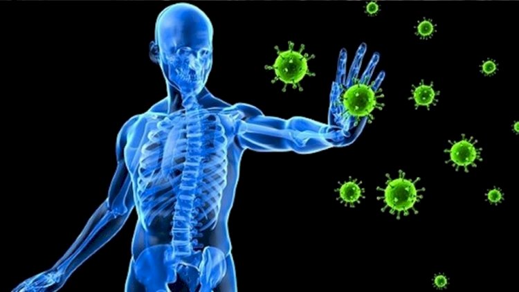 শীতে রোগপ্রতিরোধ ক্ষমতা বাড়ায় যেসব ফল