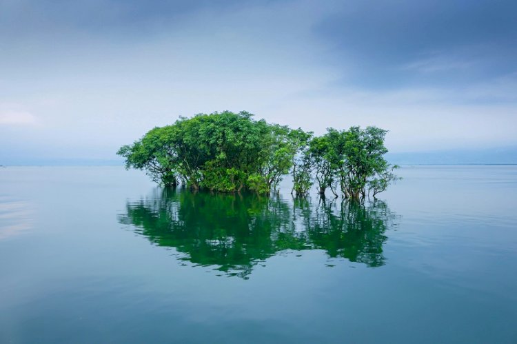 বাংলাদেশের প্রাকৃতিক সৌন্দর্য