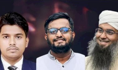 দুই উপদেষ্টার সাবেক এপিএস-পিওকে ডেকেছে দুদক