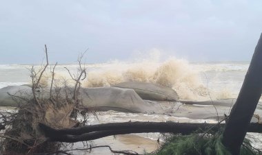 সাগরে গভীর নিম্নচাপ, বাংলাদেশ উপকূল অতিক্রম করবে সন্ধ্যায়
