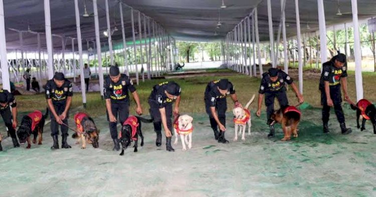 ফাঁকা ঢাকার নিরাপত্তায় বেড়েছে গোয়েন্দা নজরদারি