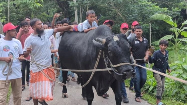 সেই সোহাগের আর কিছু চাওয়ার নেই