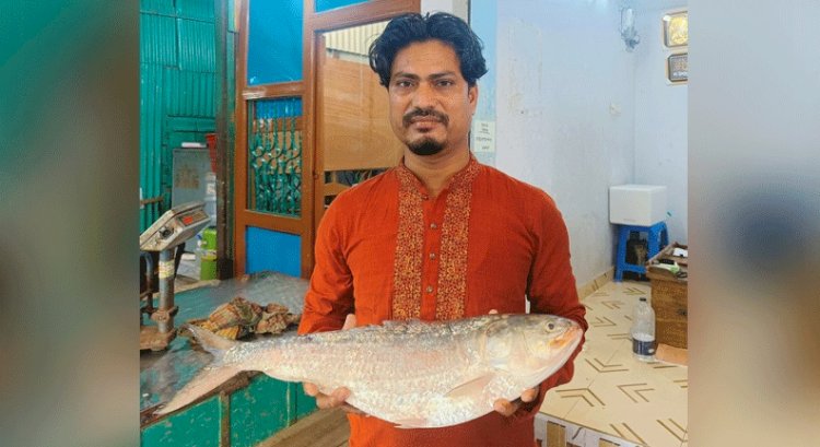 এক ইলিশের দাম ১৩৫০০ টাকা