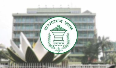 জুলাই যোদ্ধাদের জন্য বিশেষ তহবিল করছে বাংলাদেশ ব্যাংক