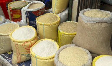 বেড়েছে চাল আমদানি, কমছে দাম