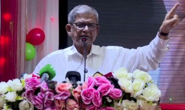 বিএনপিই বাংলাদেশকে রক্ষা করতে পারে