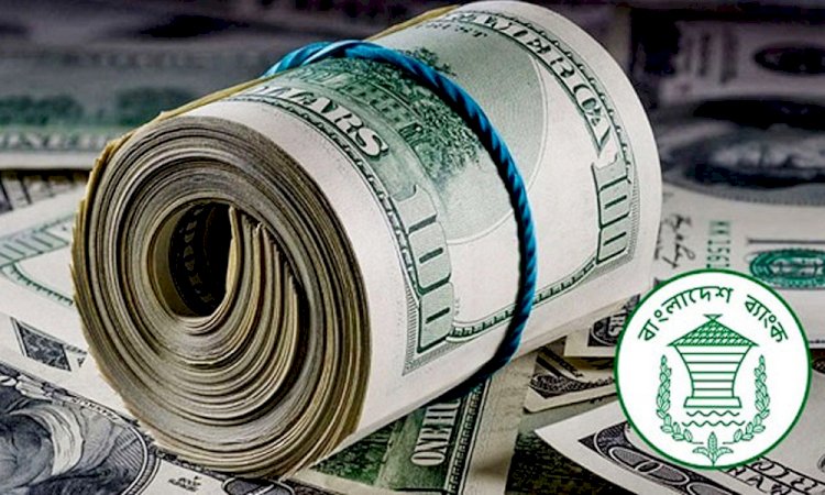 রেমিট্যান্স বেড়েছে যত শতাংশ